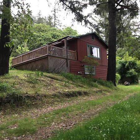 Avenue Of The Giants Caraway Cottage Miranda Exterior foto