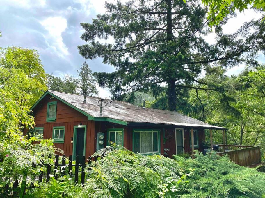 Avenue Of The Giants Caraway Cottage Miranda Exterior foto