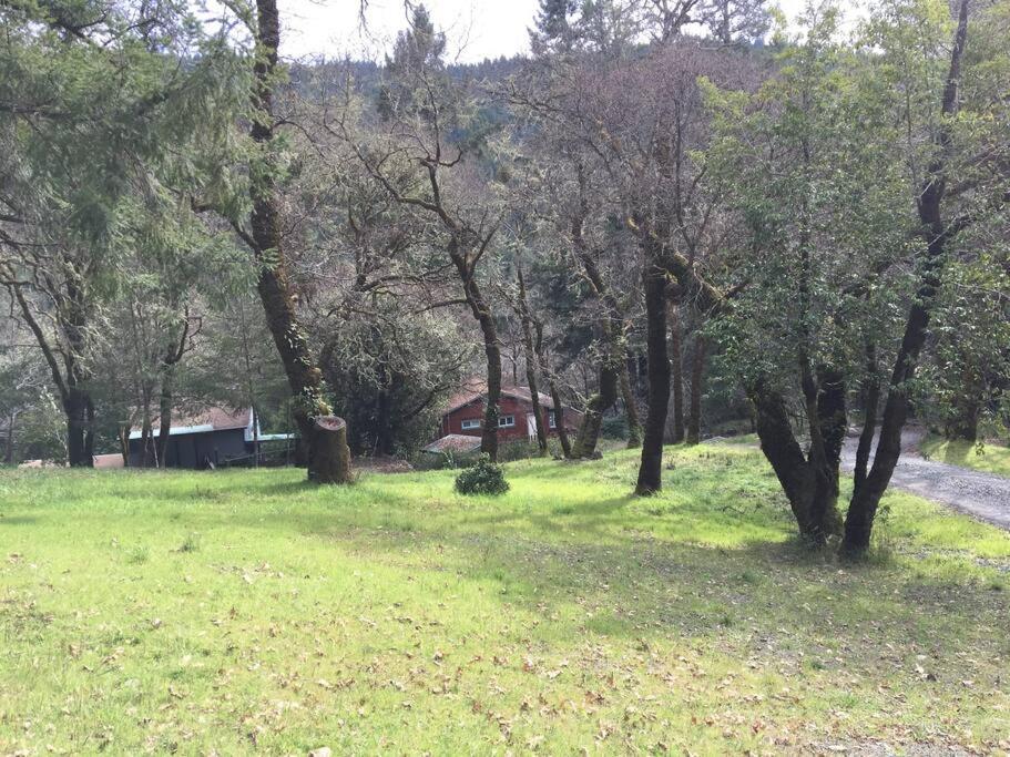 Avenue Of The Giants Caraway Cottage Miranda Exterior foto